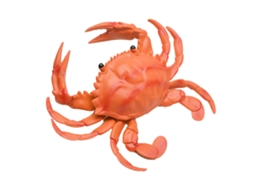 Primerox brinquedo Caranguejo com Som Realístico Modelo Marinho Educativo Decorativo
