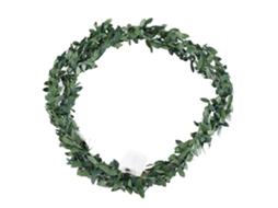 Laxiscreed Luzes De Festa Verdes Com Led E Fio De Cobre Para Decoração De Jardim