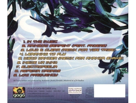 Cd Learning To Fly Gaga Records