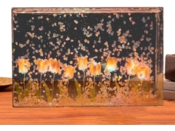 Brilho floral suave, linda iluminação decorativa com pétalas em movimento.
