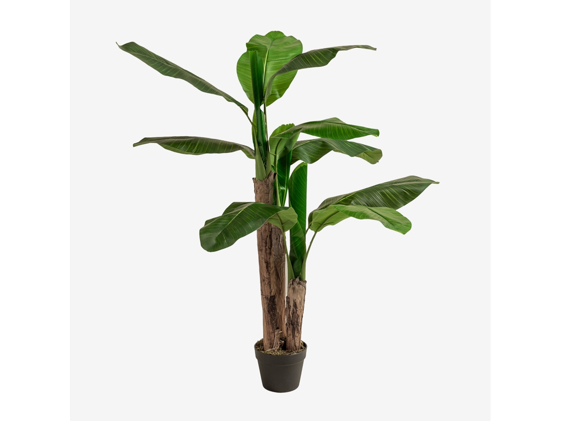 Sklum Planta Artificial Decorativa ↑140 Cm Bananeira Peva ↑140 Cm