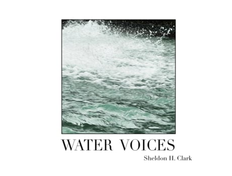 Livro Water Voices de Sheldon H Clark (Inglês)