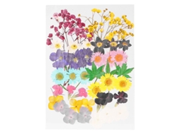 42 Unidades de Flor Seca ALLINLESS