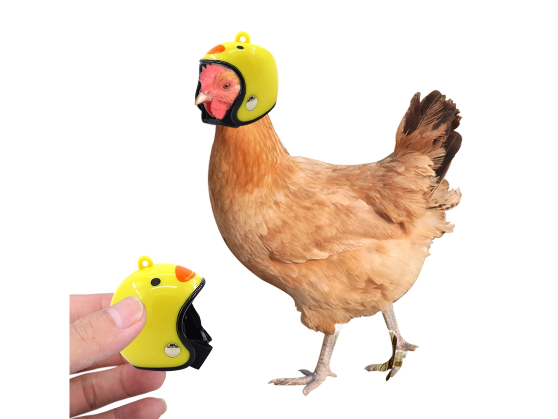 Capacete para Aves Cartoon Ajustável Pequeno Pet | S/MARCA