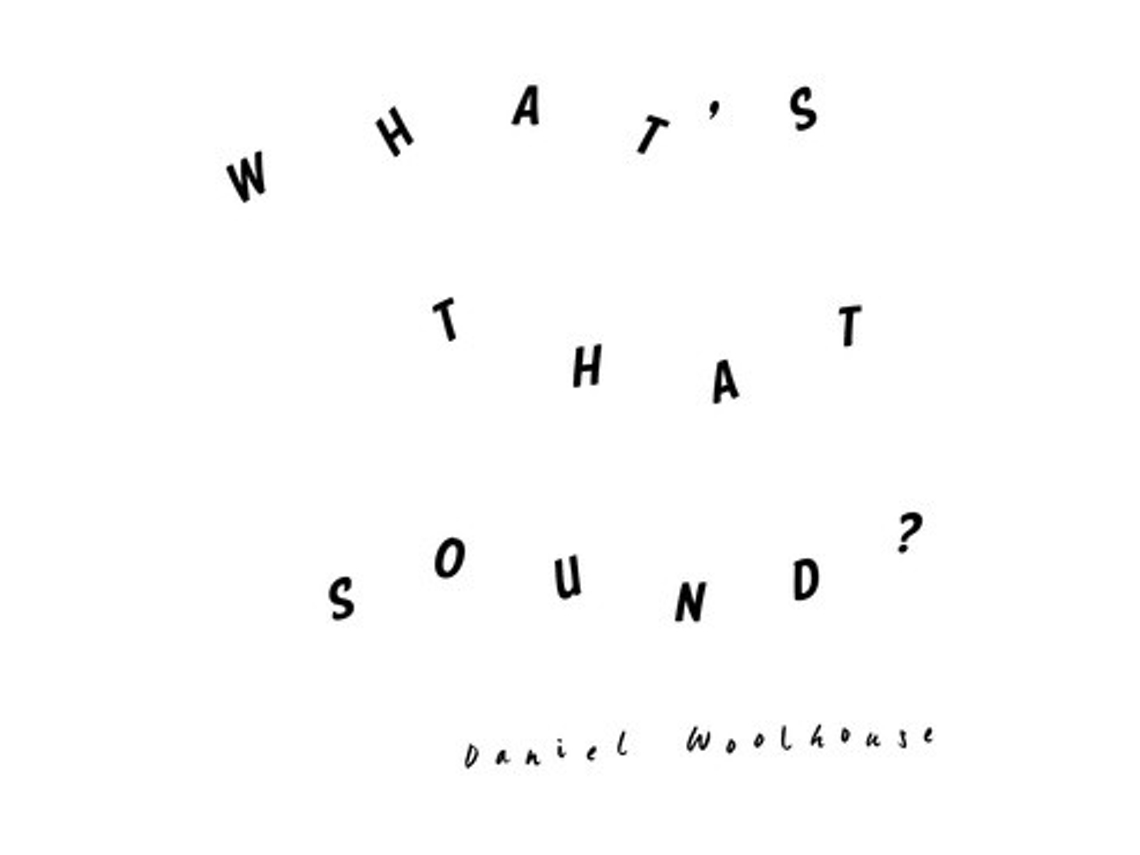 Vinil Daniel Woolhouse - What's That Sound?
