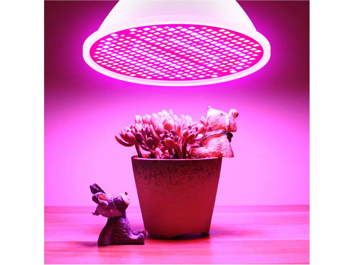 Lâmpada Led Para Plantas De Interior Com Espectro Vermelho E Azul, Lâmpada Led E14 Para Hidroponia, Ideal Para Suculentas. Aquaforge