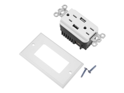 Retirado do modelo American Padrão Wall com Duplo USB (com tomada dupla, compatível com placas frontais de estilo americano)