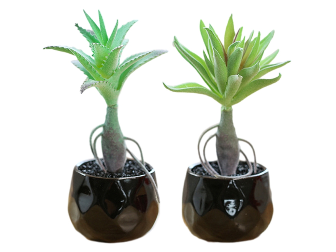 2 Peças de Bonsai de Suculentas Ornamentos Criativos Flores Artificiais Plantas em Vaso Flores Falsas Plantas Verdes RNEMITERY