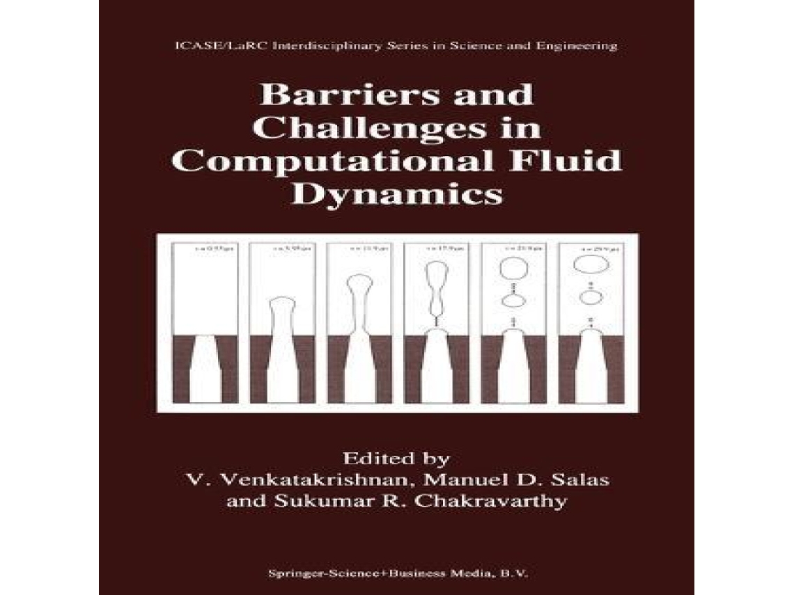 Livro Barriers and Challenges in Computational Fluid Dynamics de Springer Nature BV (Inglês)