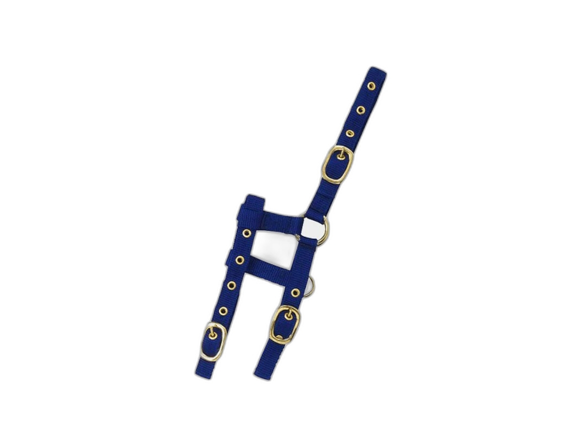 Cabresto para cavalos Norton Mini