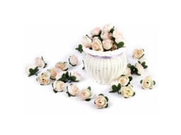 50 Unidades de Rosas Artificiais de 3 Cm para Decoração de Casa, Casamento e Festas, Cor Champanhe. AQUAFORGE