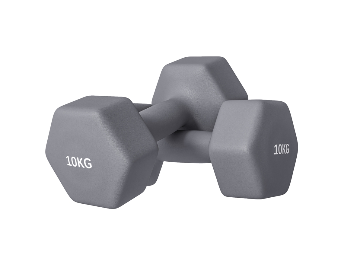 Set de 2 Halteres Hexagonais BTFORUS 2x10kg com empunhadura antiderrapante