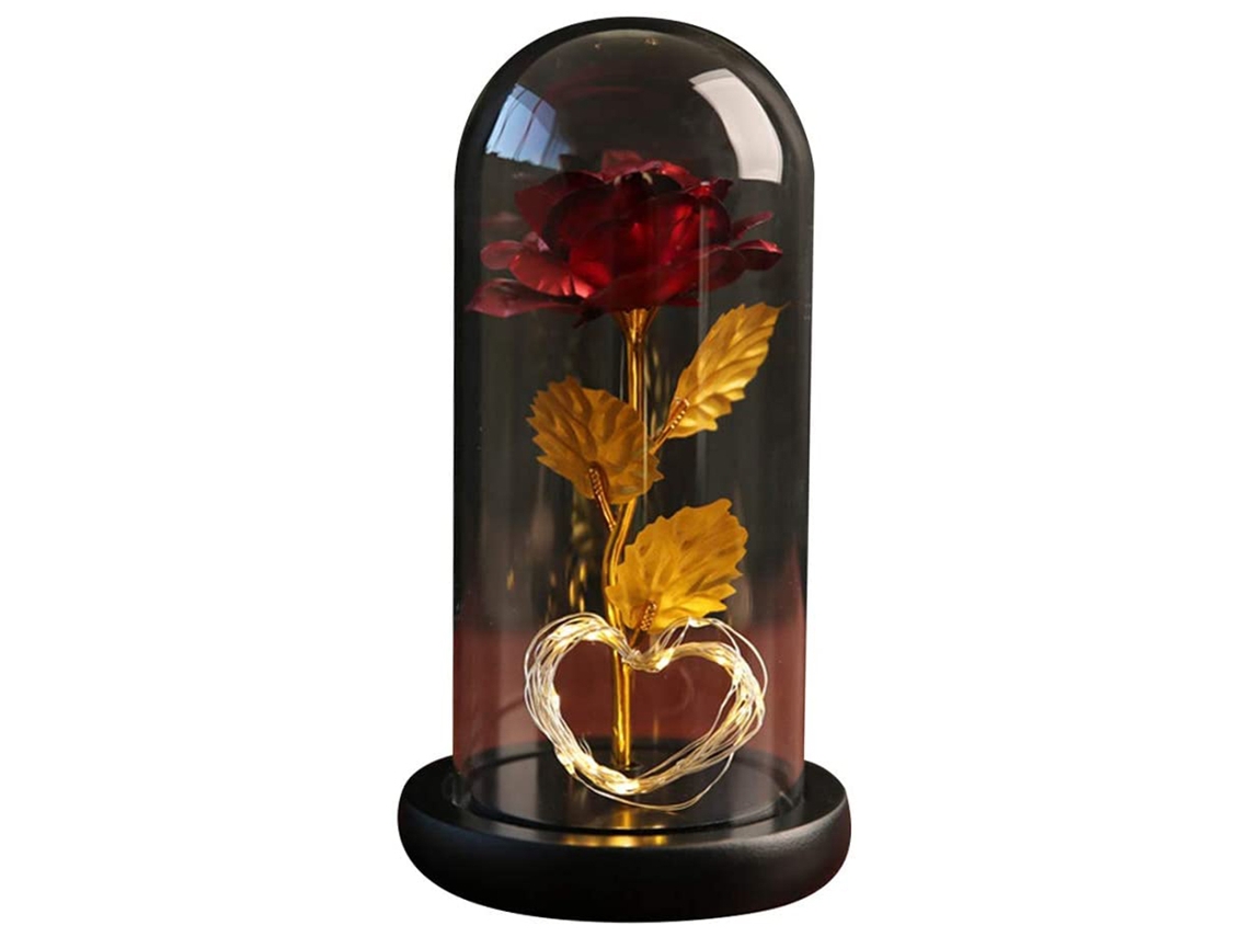 Ornamento de Flor Preservada LAXISCREED com Luz