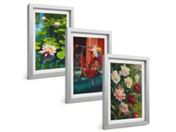 Composição De Quadros Lírios No Jardim, Flores Coloridas Espelharte (3 Peças 20x30 Cm)