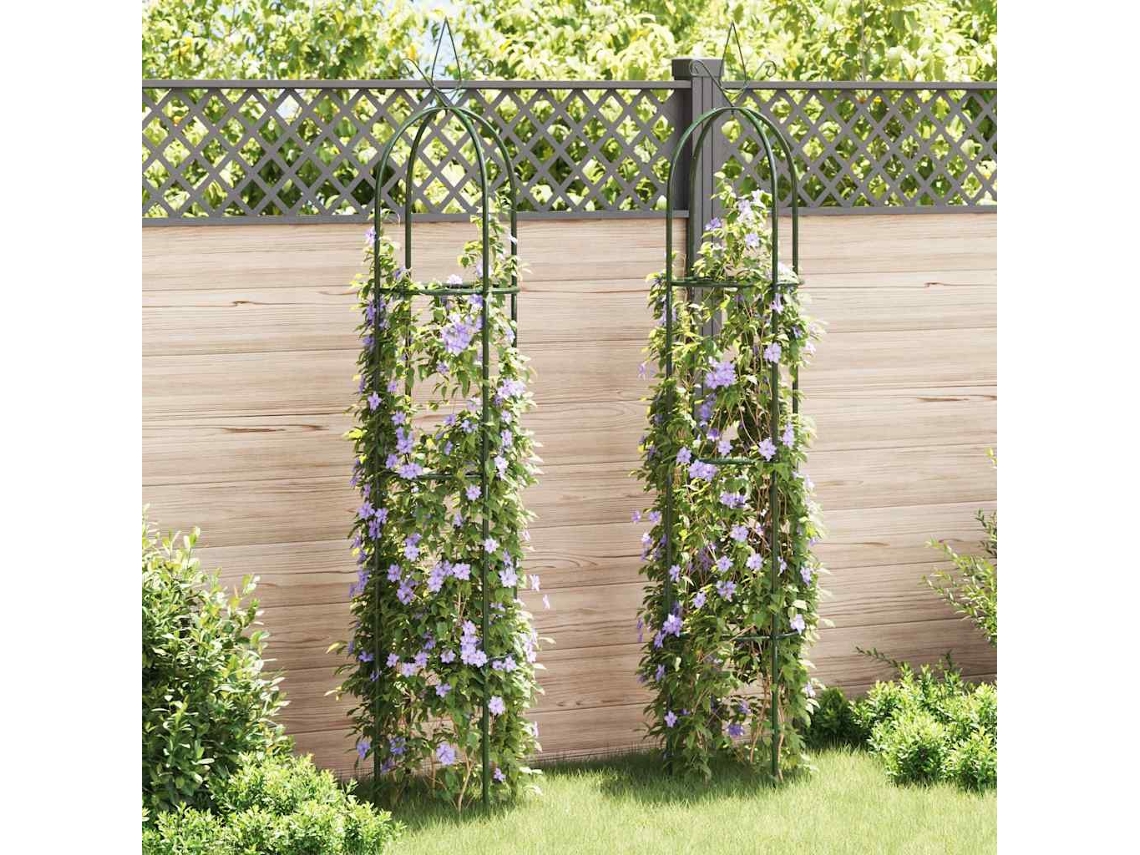 Vidaxl Arco De Jardim Torre, 2 Pcs