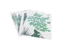 Adesivos De Parede Autoadesivos Folha Verde Da Laxiscreed Para Uma Decoração Natural E Moderna