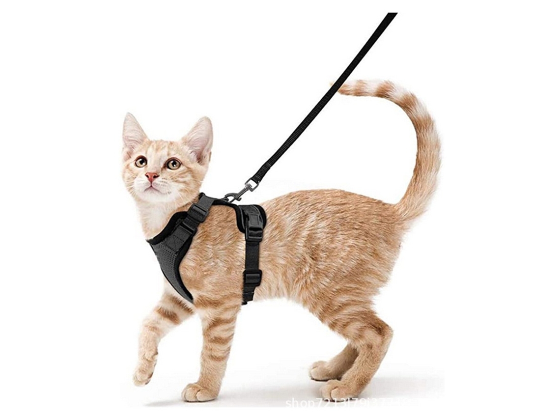 Elysve Trela e Arnês com Cães e Gatos, Passeios Seguros