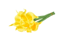 Mini lírio-de-cálice artificial Baok em PU com toque realista, flor falsa para decoração de casa e fotografia, amarelo.