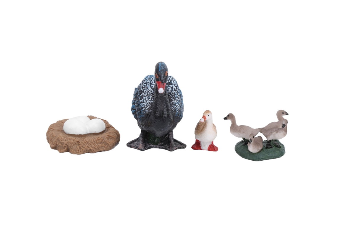 Primerox modelo de Ciclo de Vida do Pato 4 Etapas Brinquedo Educativo para Crianças Abs Novo