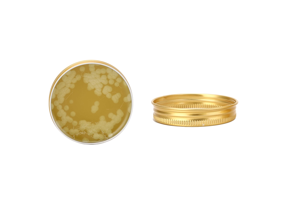 Pasta De Soldadura Flux Rosin Resistente À Oxidação Não Limpa Para Eletrônica 40g