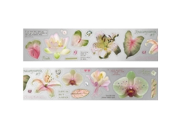 Fita Adesiva Decorativa Em Pet, Para Artesanato, Ideal Scrapbooking E Diários. Ad Esiva Reutilizável Mul