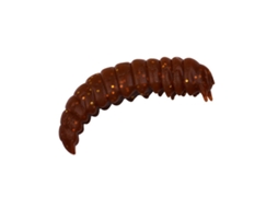 Conjunto de 8 Iscas para Trutas TROUT MASTER Real Camola 30
