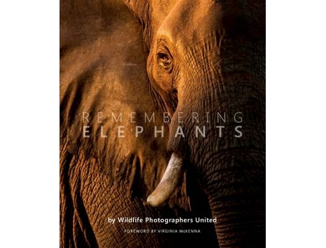 Livro remembering elephants de margot raggett (inglês)