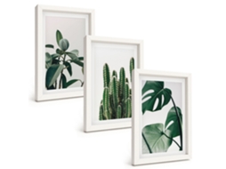 Composição De Quadros Plantas Tropicais Com Estética Espelharte (3 Peças 20x30 Cm)
