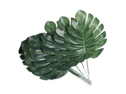 30Pcs Folhas de Simulação ALLINLESS