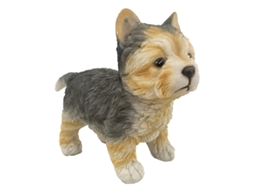 Cachorro BY SIGRIS
