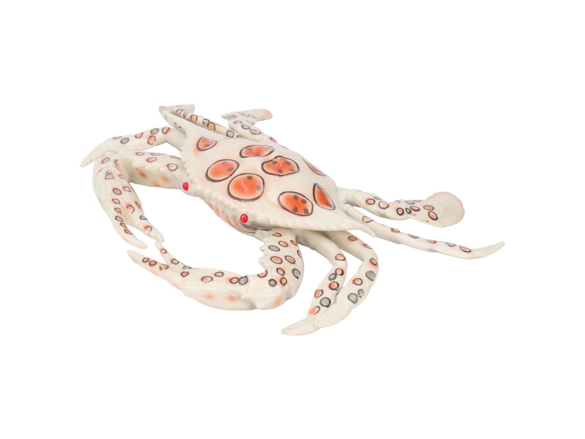 Ats brinquedo de Caranguejo Educativo em Plástico Seguro com Forma Vívida para Crianças Ornamentos de Cognição Biológica Marinha