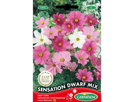 Sementes  Cosmos Sensation Anão Mix