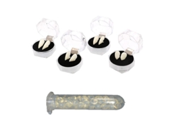1 Conjunto de Dentaduras de Halloween ALLINLESS