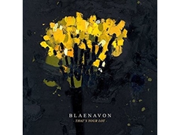 Vinil Blaenavon - That's Your Lot