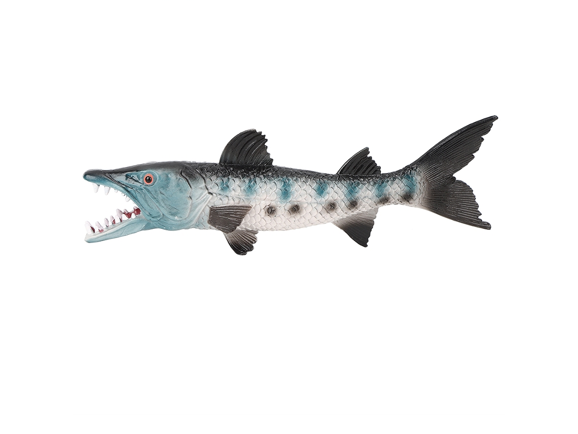 Mali brinquedo Modelo Peixe lobo Marinho, Figura de Vida Marinha, Jogo Educativo para Crianças M 1335