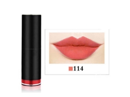 Lápiz Labial Impermeable Mate De Larga Duración Brillo Labial Herramienta De Maquillaje 114