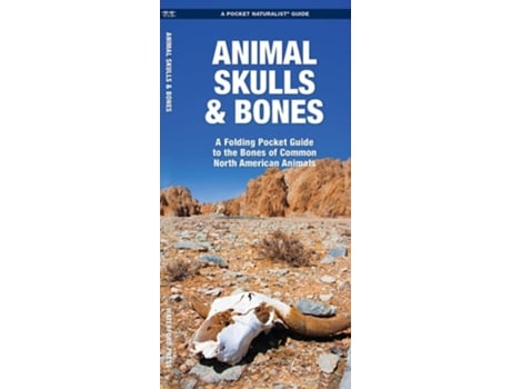 Livro Animal Skulls Amp Bones De James Kavanagh E Waterford Press (inglês)