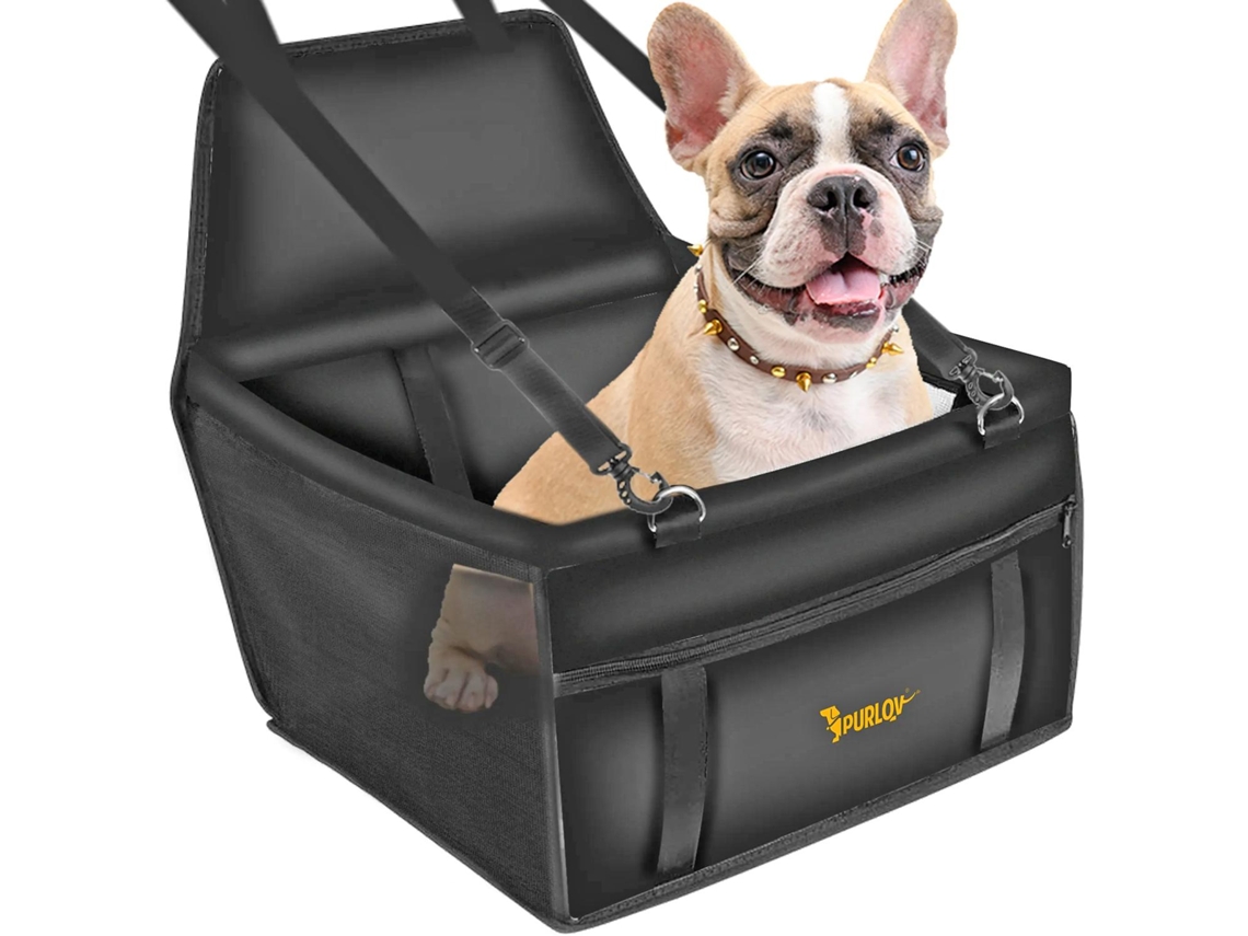 Cadeira Auto Pet Assento Elevatório Suporte