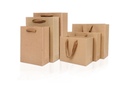 Conjunto de 10 Sacolas Pequenas de Papel Kraft Marrom para Lanches e Presentes, com Alça, 15 X 20 Cm. Ideais para Aniversários, Casamentos BRILVIBERA