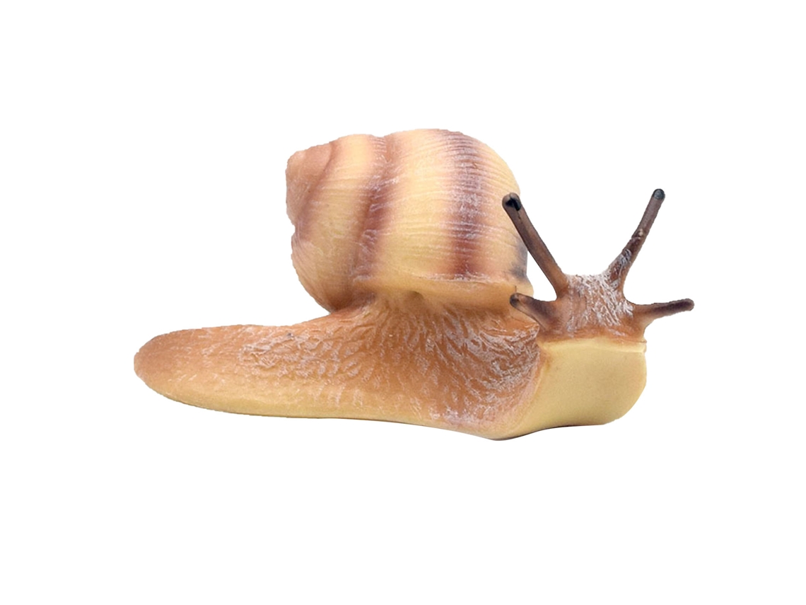 WalshLXq Caracol Artificial Realista em Micro Paisagem - Brinquedo Educativo para Crianças e Bebês