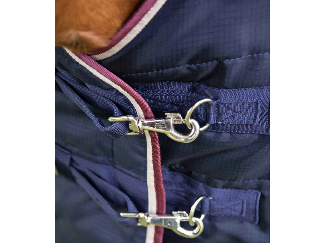 Anel D PREMIER EQUINE