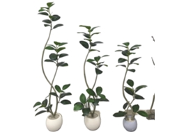Ãrvore Falsa De Figueira Lira, Decoraã§ã£o Elegante Para O Lar, Baixa Manutenã§ã£o, Verde, 150cm Oem