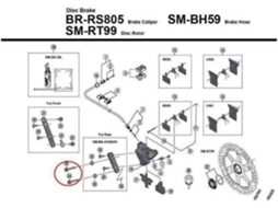 Reparador de Bicicleta SHIMANO Rs505 C Caliper Fixing Bolt