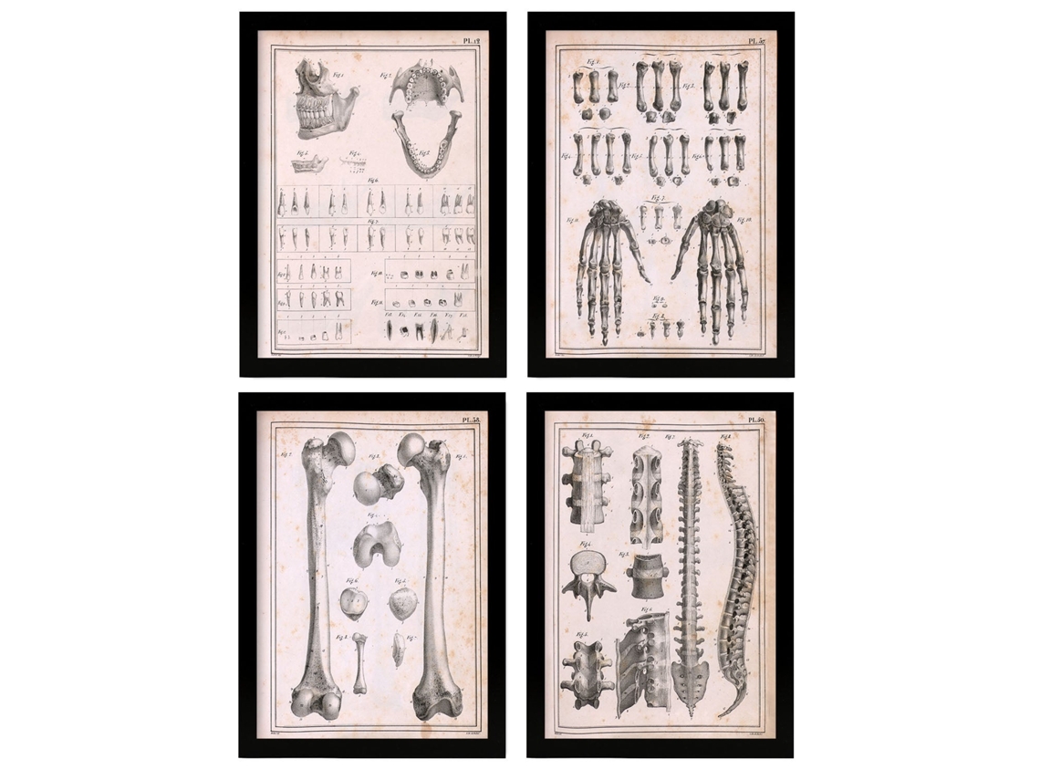 Conjunto de Pósters NACNIC (21 x 29.7 cm)