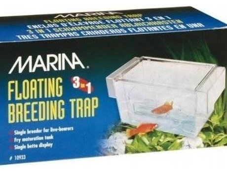 Maternidade para Peixes  Com Tampa (Transparente - 8.9x16.5x8.25cm)
