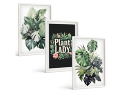 Galeria De Pinturas Murais Plantas Tropicais, Senhora Das Plantas Moldura Branca Quadros Para O Escritório Espelharte (3 Piezas De 40x60 Cm)