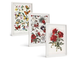 Conjunto De Pinturas Borboletas, Flores, Rosas Vermelhas Moldura Branca Imagens Para Um Quarto Infantil Espelharte (3 Piezas De 40x60 Cm)