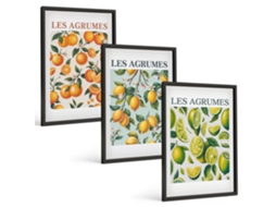 Conjunto De Pinturas Padrões De Frutas Cítricas Em Tons Pastel Espelharte (3 Peças 40x60 Cm)