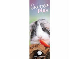 Livro Guinea Pigs Slim Calendar 2026 de CAROUSEL CALENDARS 2026 (Inglês)