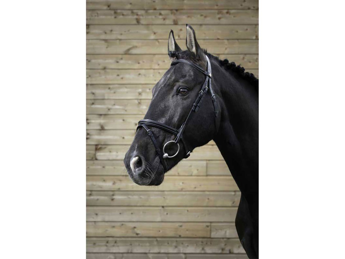 Cabeçada Fin Cinzento Cobnorton Equestrian